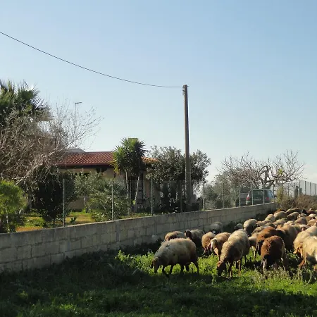 Lido Sabbioso וילה *